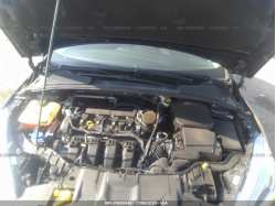 FORD FOCUS 1FADP3F22FL384755