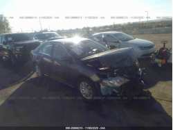 TOYOTA CAMRY 4T4BF1FK5DR313762