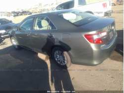TOYOTA CAMRY 4T4BF1FK5DR313762