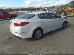 KIA OPTIMA KNAGM4A77E5479837