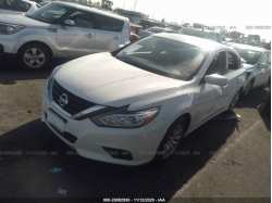 NISSAN ALTIMA 1N4AL3AP3JC136332