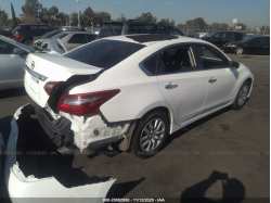 NISSAN ALTIMA 1N4AL3AP3JC136332