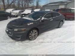 CHEVROLET MALIBU 1G1ZH5SX7GF230786