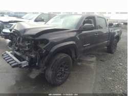 TOYOTA TACOMA 2WD 3TMBZ5DN2KM018159