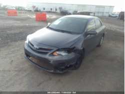 TOYOTA COROLLA 5YFBU4EE6DP216410