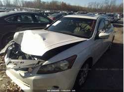 HONDA ACCORD SDN 1HGCP3F84AA007151