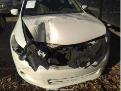 HONDA ACCORD SDN 1HGCP3F84AA007151