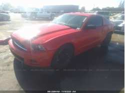 FORD MUSTANG 1ZVBP8AM9E5236044