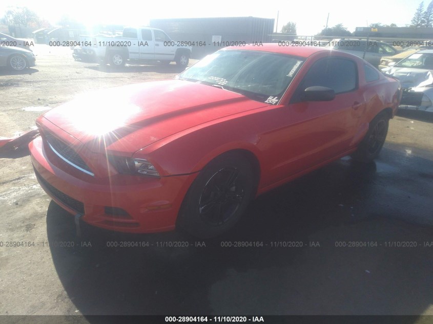 FORD MUSTANG 1ZVBP8AM9E5236044