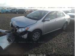 TOYOTA COROLLA JTDBU4EE5BJ107504