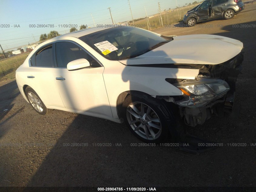 NISSAN MAXIMA 1N4AA5AP3DC818276