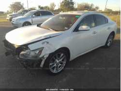NISSAN MAXIMA 1N4AA5AP3DC818276