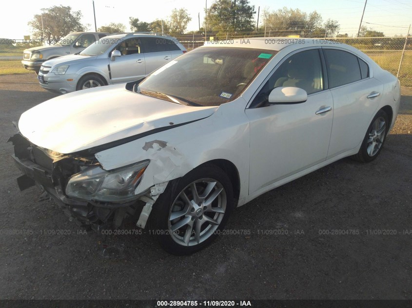 NISSAN MAXIMA 1N4AA5AP3DC818276