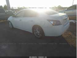 NISSAN MAXIMA 1N4AA5AP3DC818276