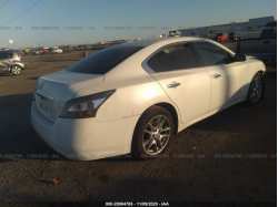 NISSAN MAXIMA 1N4AA5AP3DC818276
