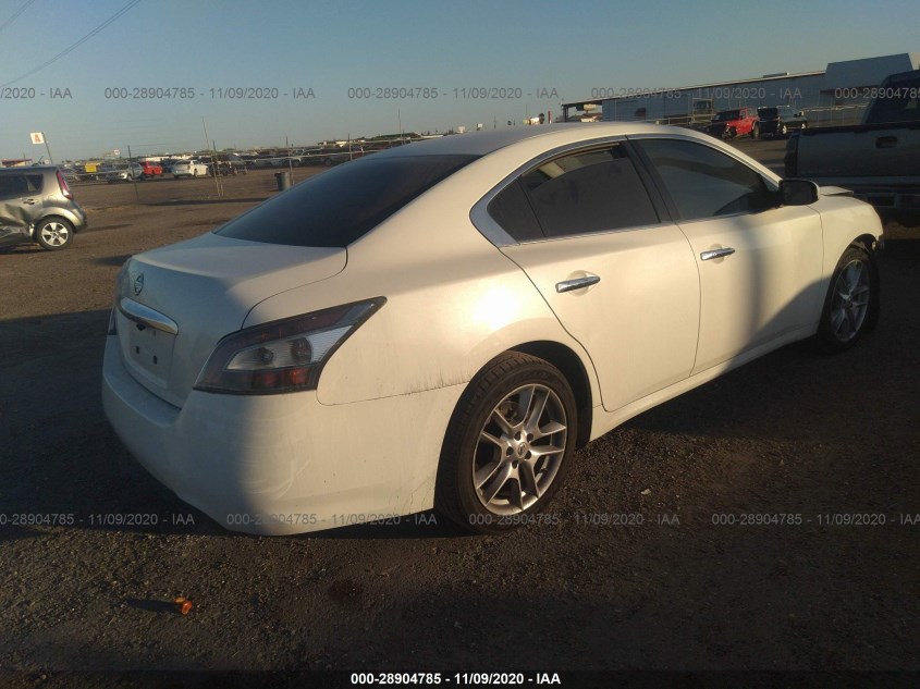 NISSAN MAXIMA 1N4AA5AP3DC818276