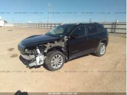 JEEP CHEROKEE 1C4PJLCB2LD577281
