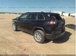JEEP CHEROKEE 1C4PJLCB2LD577281