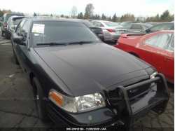 FORD POLICE INTERCEPTOR 2FABP7BV8BX106695