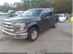 FORD F-150 1FTEW1CG1GFB55697