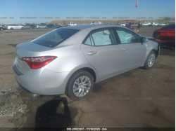 TOYOTA COROLLA 2T1BURHE6JC992606