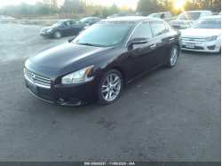 NISSAN MAXIMA 1N4AA5AP8AC810315