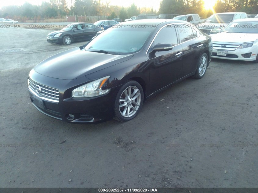NISSAN MAXIMA 1N4AA5AP8AC810315