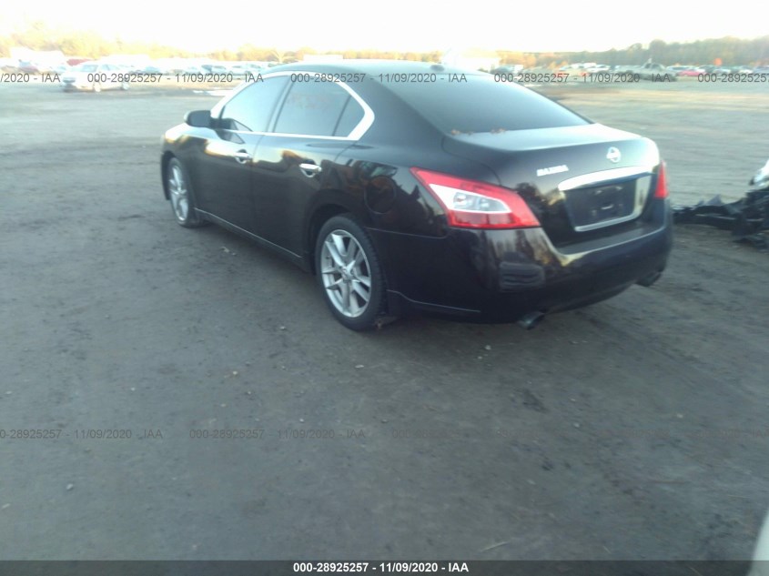 NISSAN MAXIMA 1N4AA5AP8AC810315