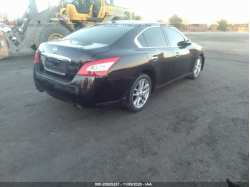 NISSAN MAXIMA 1N4AA5AP8AC810315