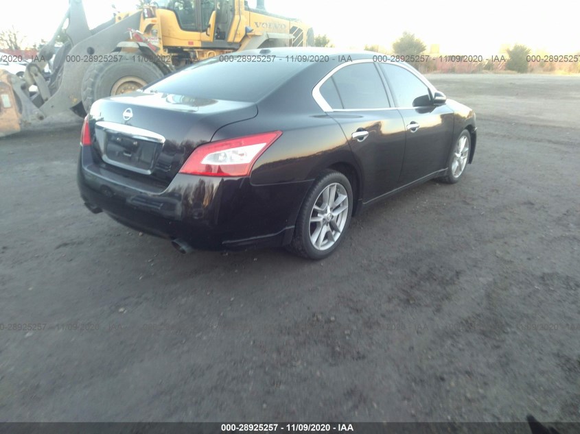 NISSAN MAXIMA 1N4AA5AP8AC810315