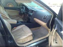 NISSAN MAXIMA 1N4AA5AP8AC810315