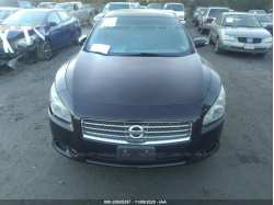 NISSAN MAXIMA 1N4AA5AP8AC810315