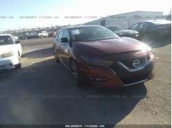NISSAN MAXIMA 1N4AA6AP8HC383993