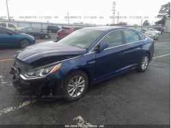 HYUNDAI SONATA 5NPE24AF8JH598935