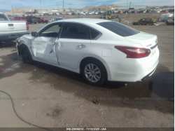 NISSAN ALTIMA 1N4AL3AP6GC241794