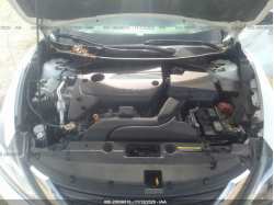 NISSAN ALTIMA 1N4AL3AP6GC241794