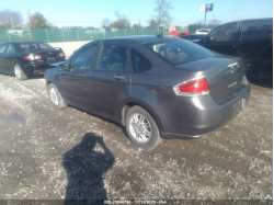 FORD FOCUS 1FAHP3FN3BW111330