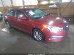 HYUNDAI SONATA 5NPE24AF5FH223513