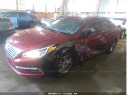 HYUNDAI SONATA 5NPE24AF5FH223513