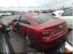 HYUNDAI SONATA 5NPE24AF5FH223513
