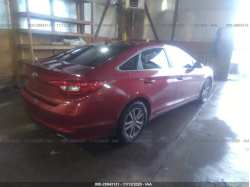 HYUNDAI SONATA 5NPE24AF5FH223513