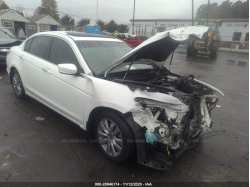HONDA ACCORD SDN 1HGCP3F89CA009996