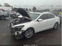 HONDA ACCORD SDN 1HGCP3F89CA009996
