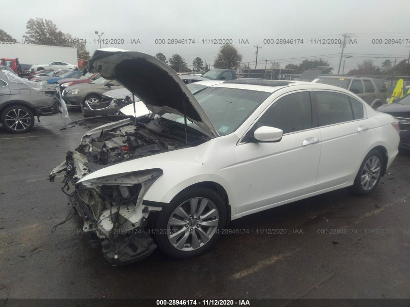 HONDA ACCORD SDN 1HGCP3F89CA009996