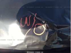CHEVROLET IMPALA 2G1WF5E32D1237035