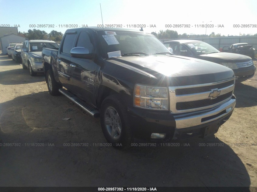 CHEVROLET SILVERADO 1500 3GCPCSE01BG202368