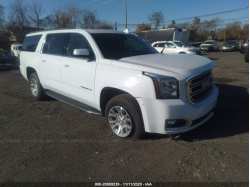 GMC YUKON XL 1GKS2GKC6LR246428