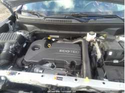 CHEVROLET EQUINOX 2GNAXUEVXL6104607