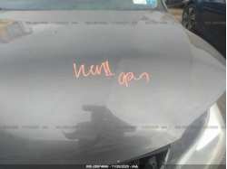 TOYOTA AVALON 4T1BK1EB0DU018401