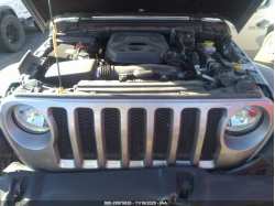 JEEP WRANGLER UNLIMITED 1C4HJXDN3LW172622
